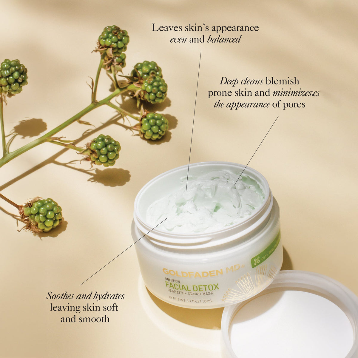 Facial Detox Clarify And Clear Face Mask