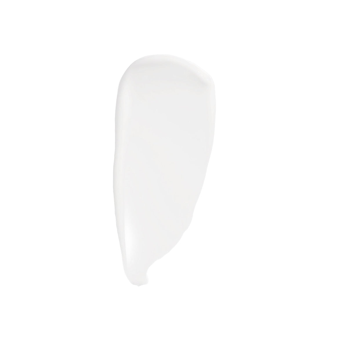 Seeking Silence Facial Hydrator