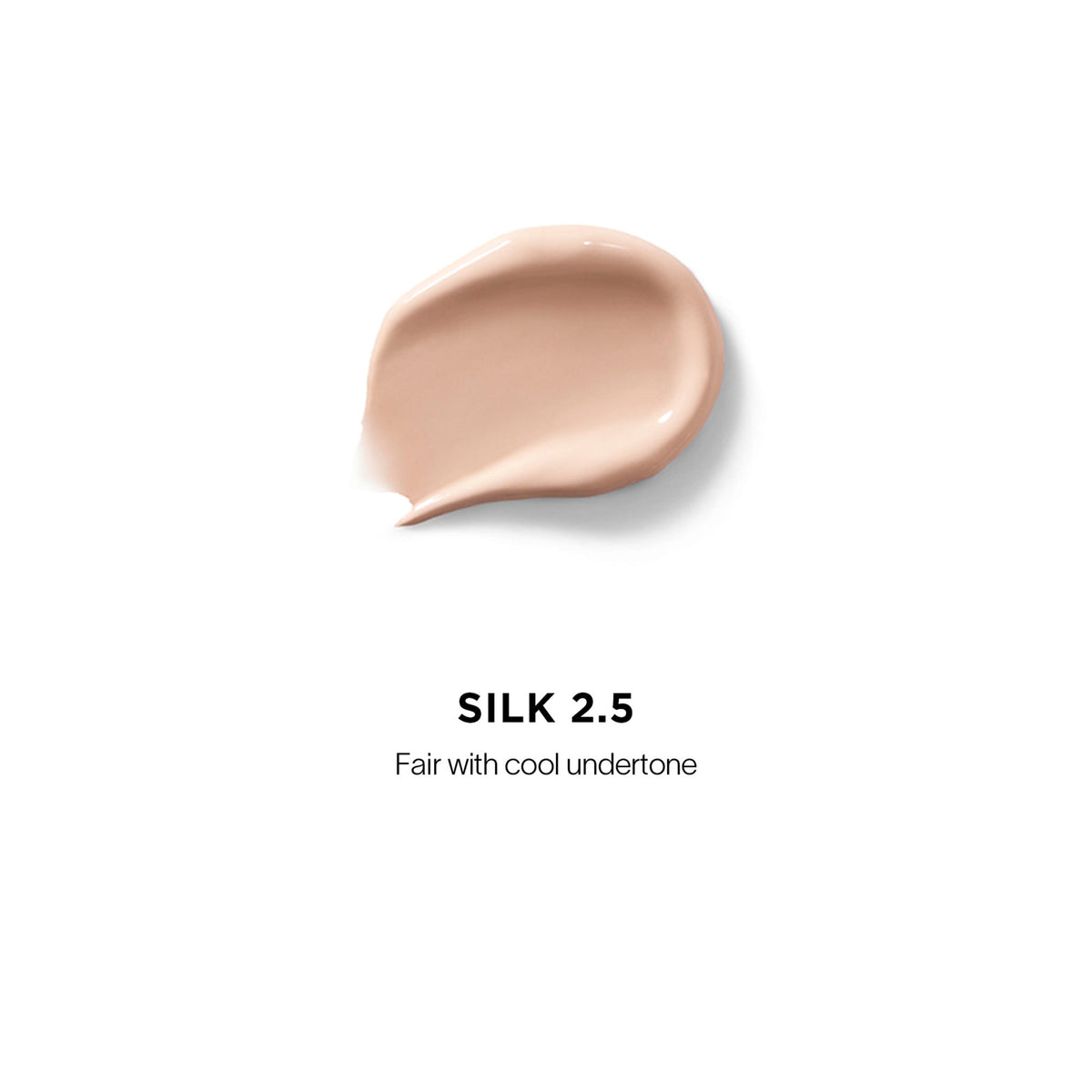 Vanish Airbrush Concealer