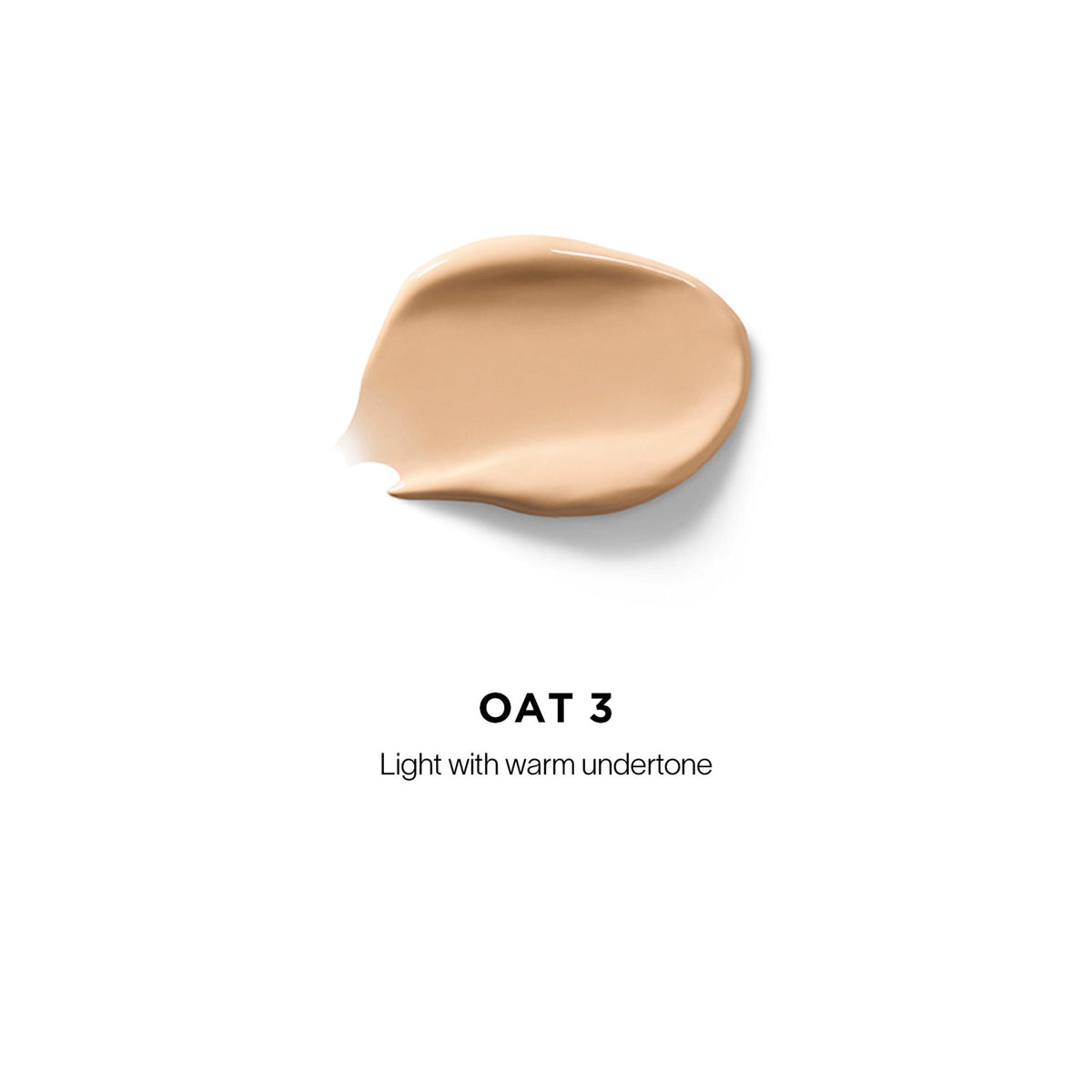 Vanish Airbrush Concealer