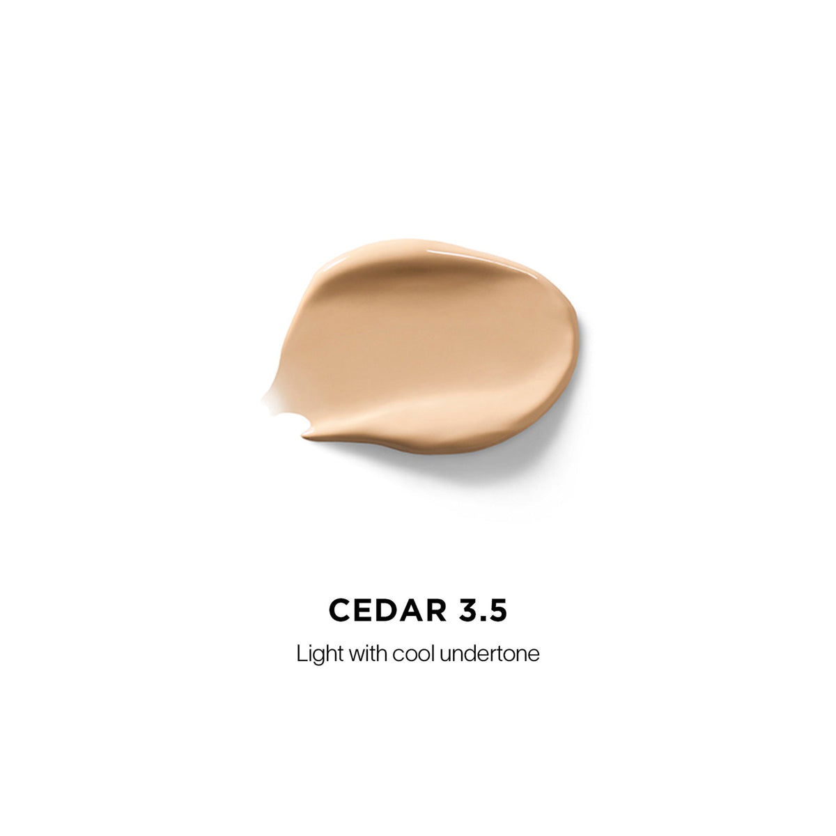 Vanish Airbrush Concealer