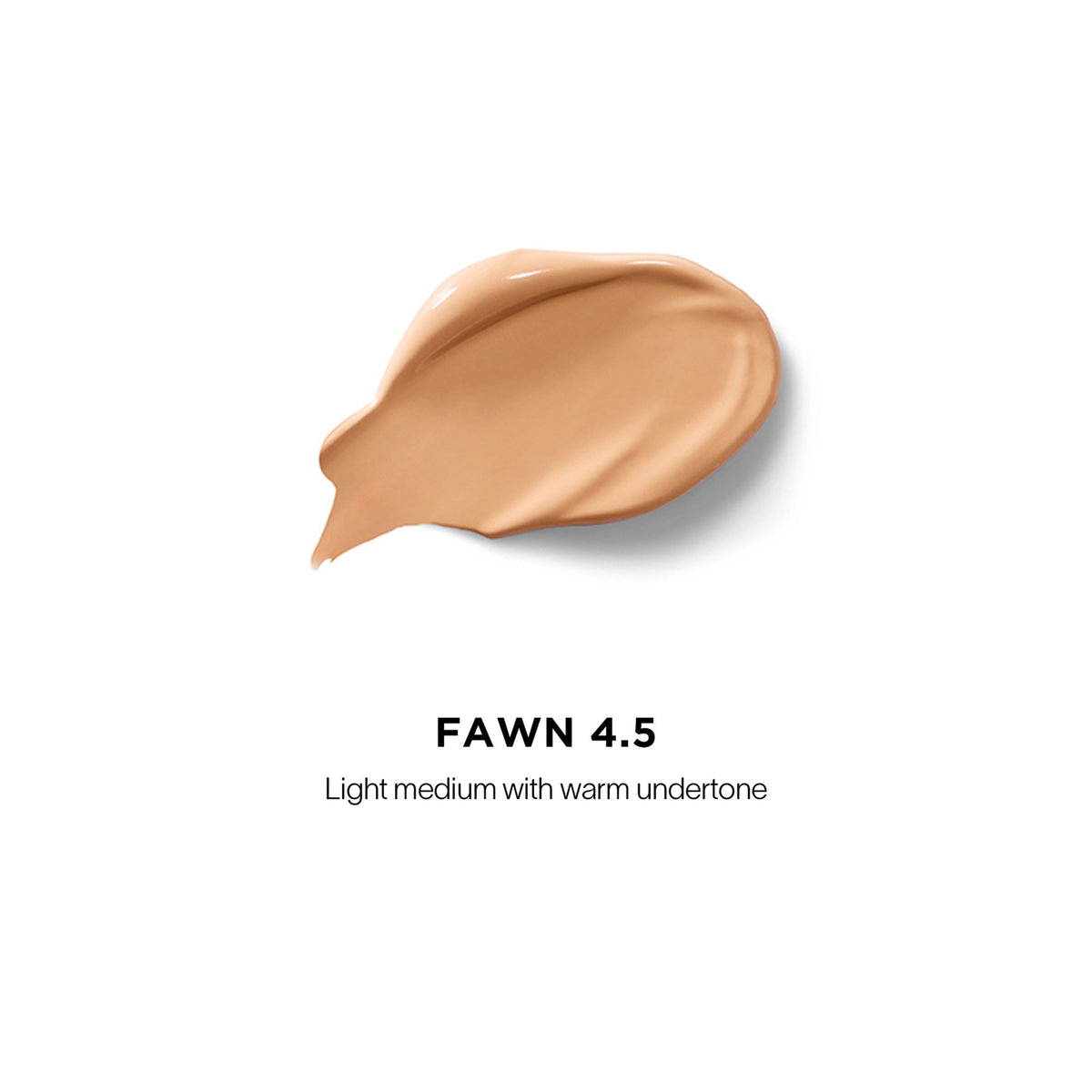 Vanish Airbrush Concealer