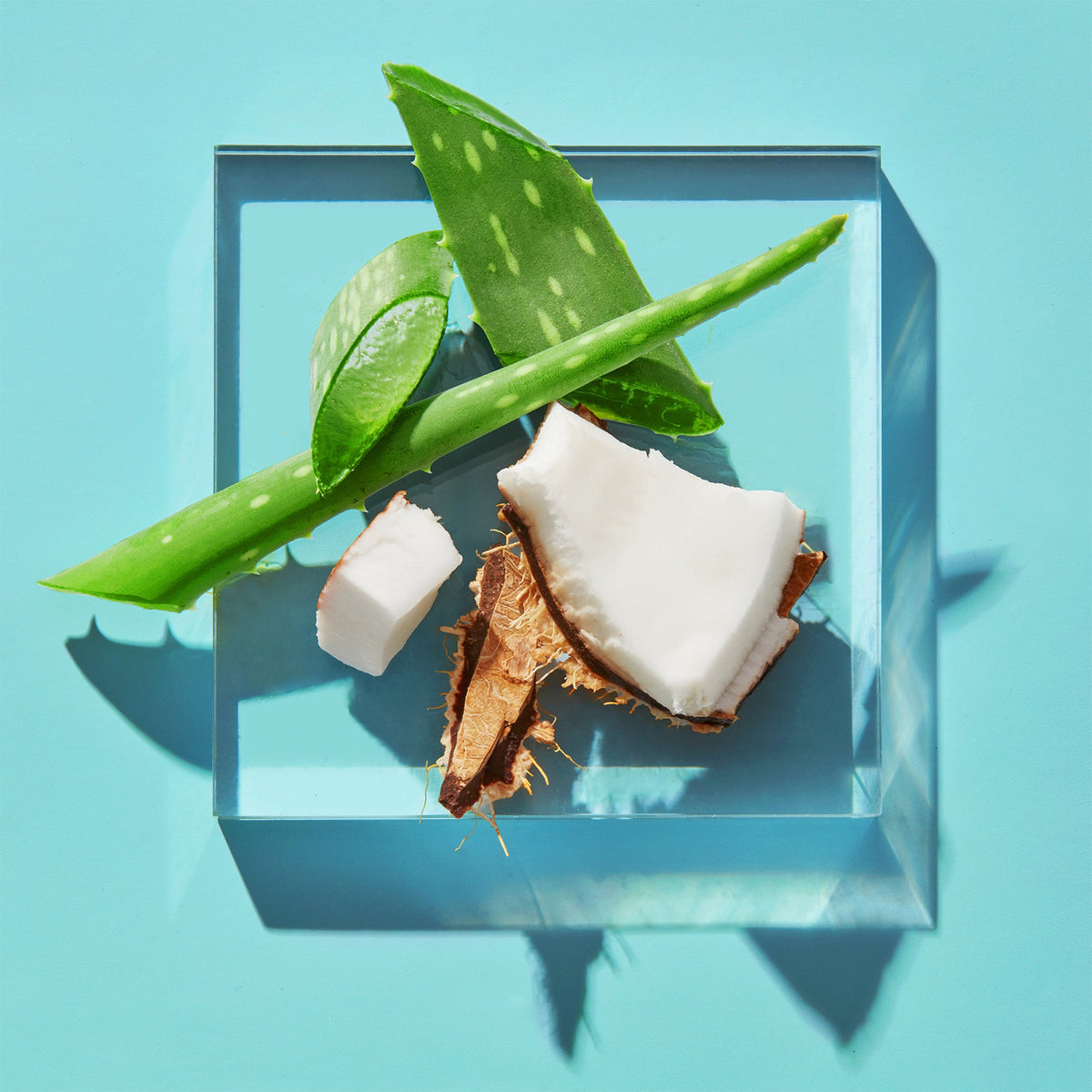 Coconut Body Soap