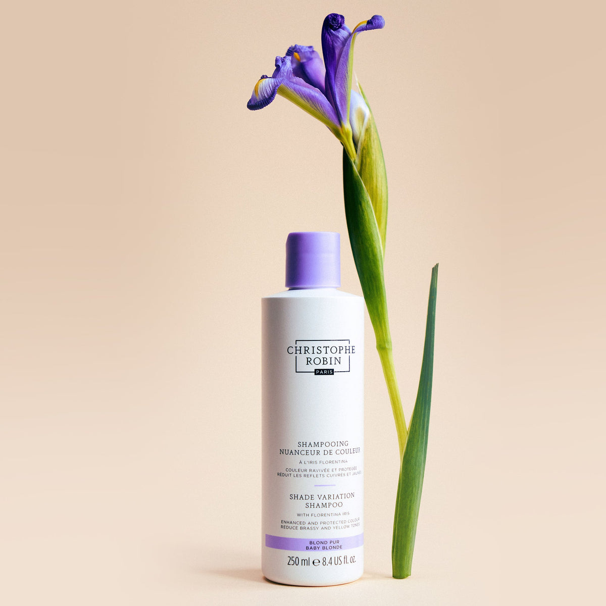 Shade Variation Shampoo with Florentina Iris