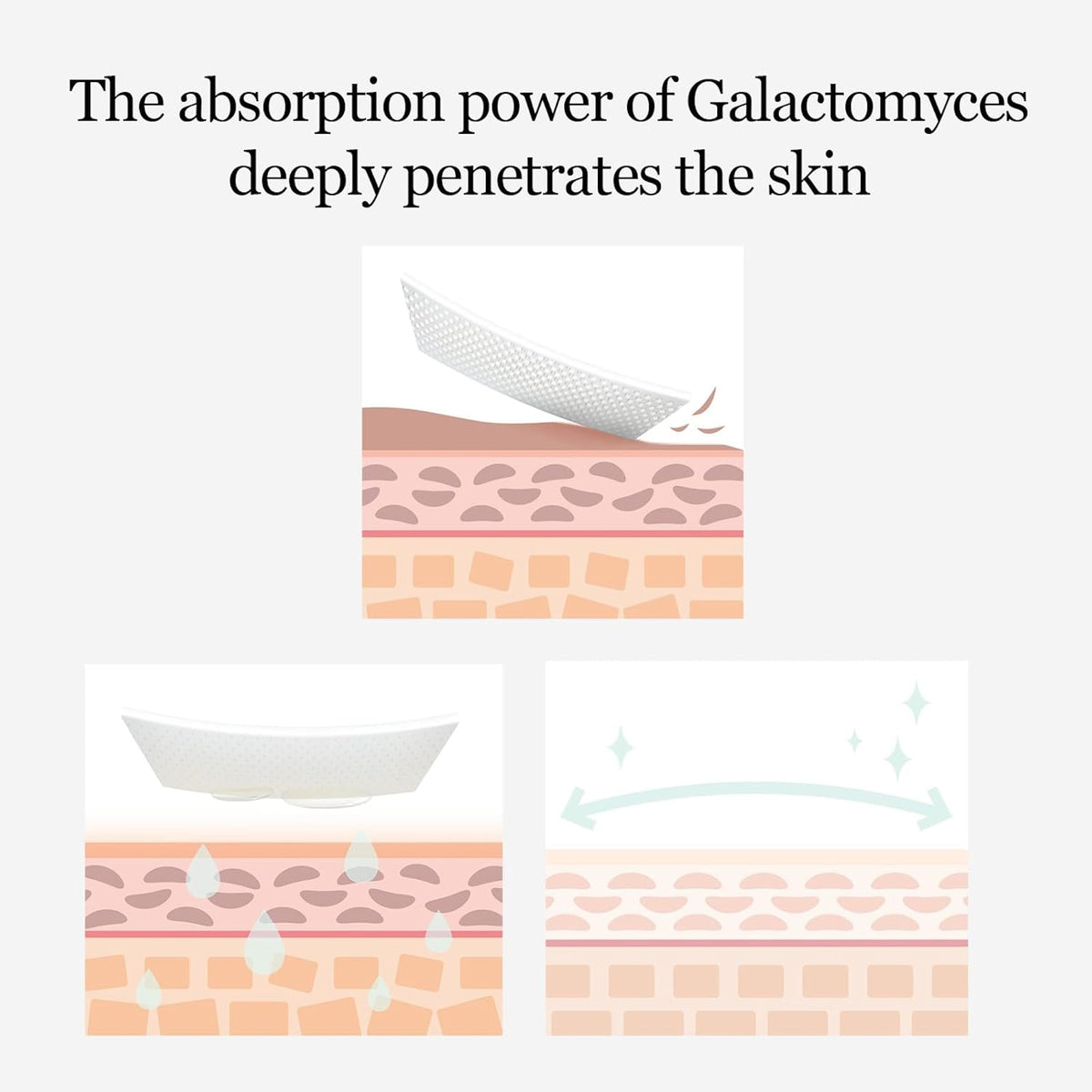 Galactomyces Toner Pad