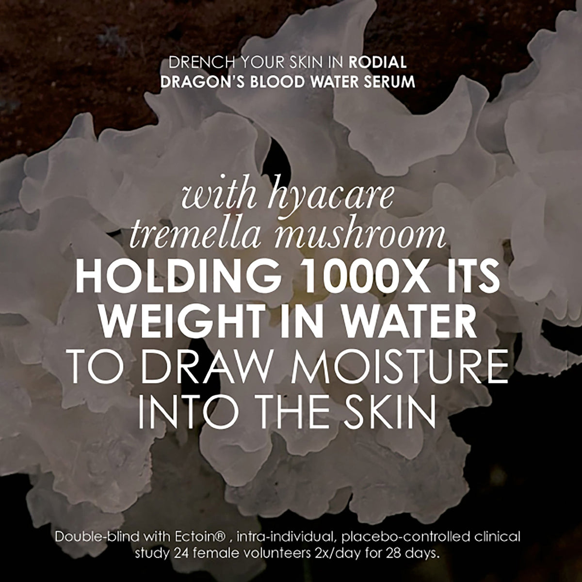 Dragons Blood Water Serum