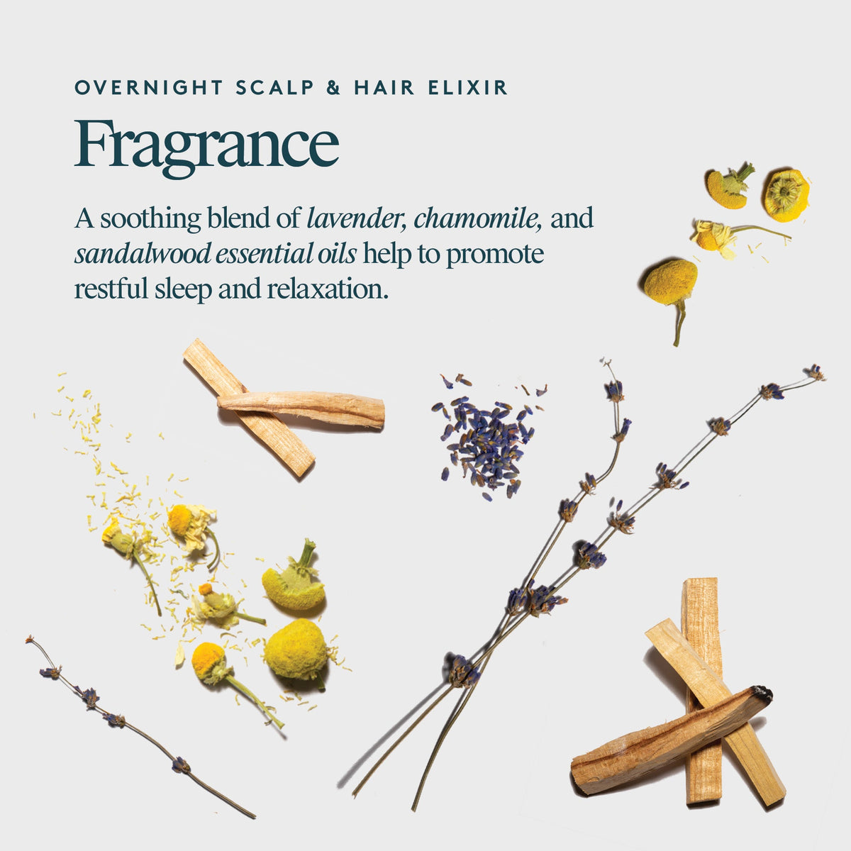 Overnight Scalp and Hair Elixir