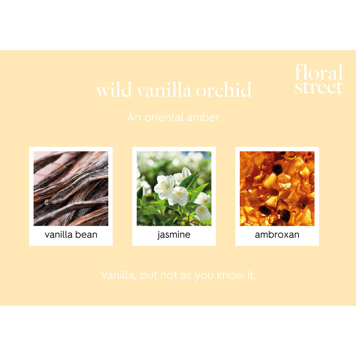 Wild Vanilla Orchid Eau de Parfum