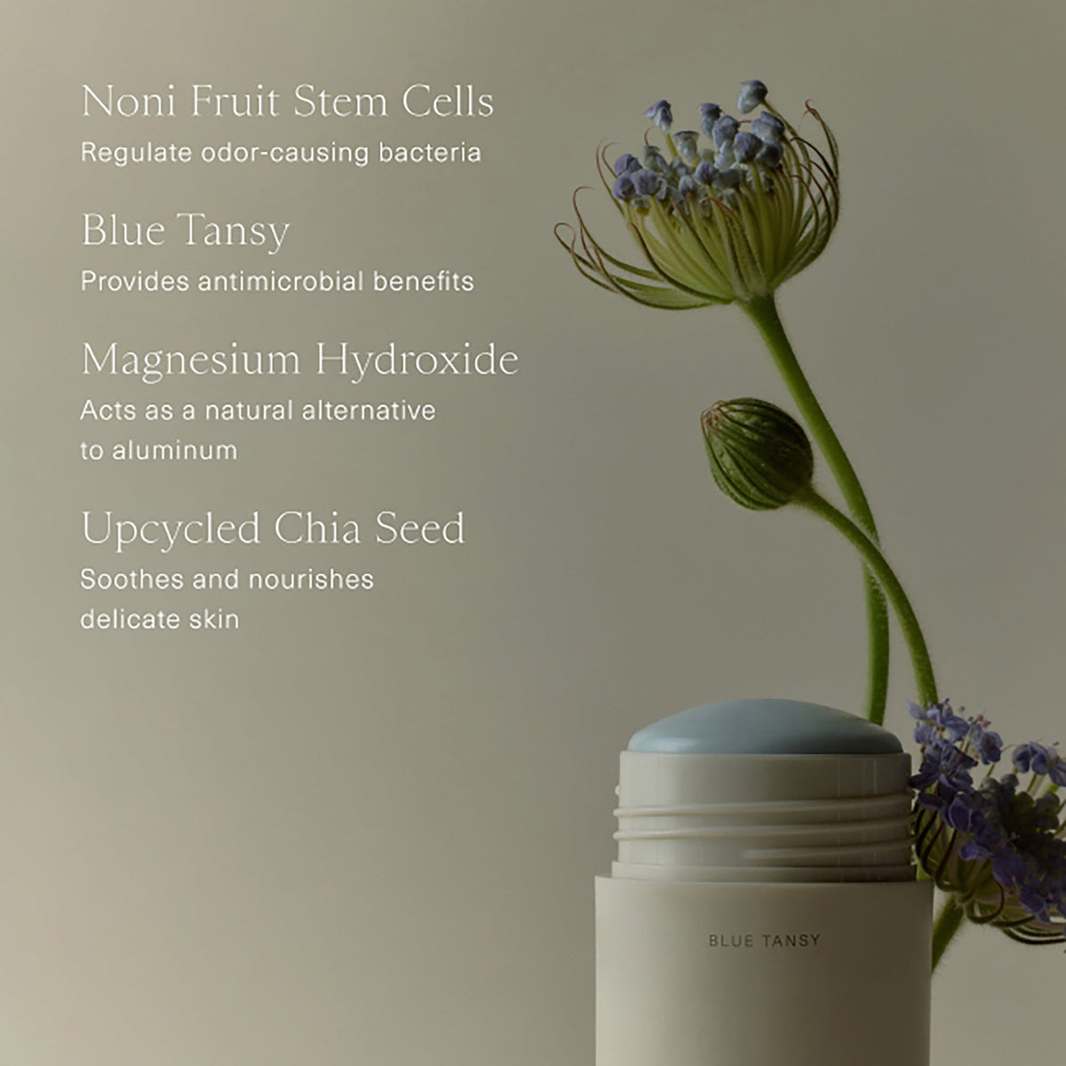 Microbiome Balancing Deodorant