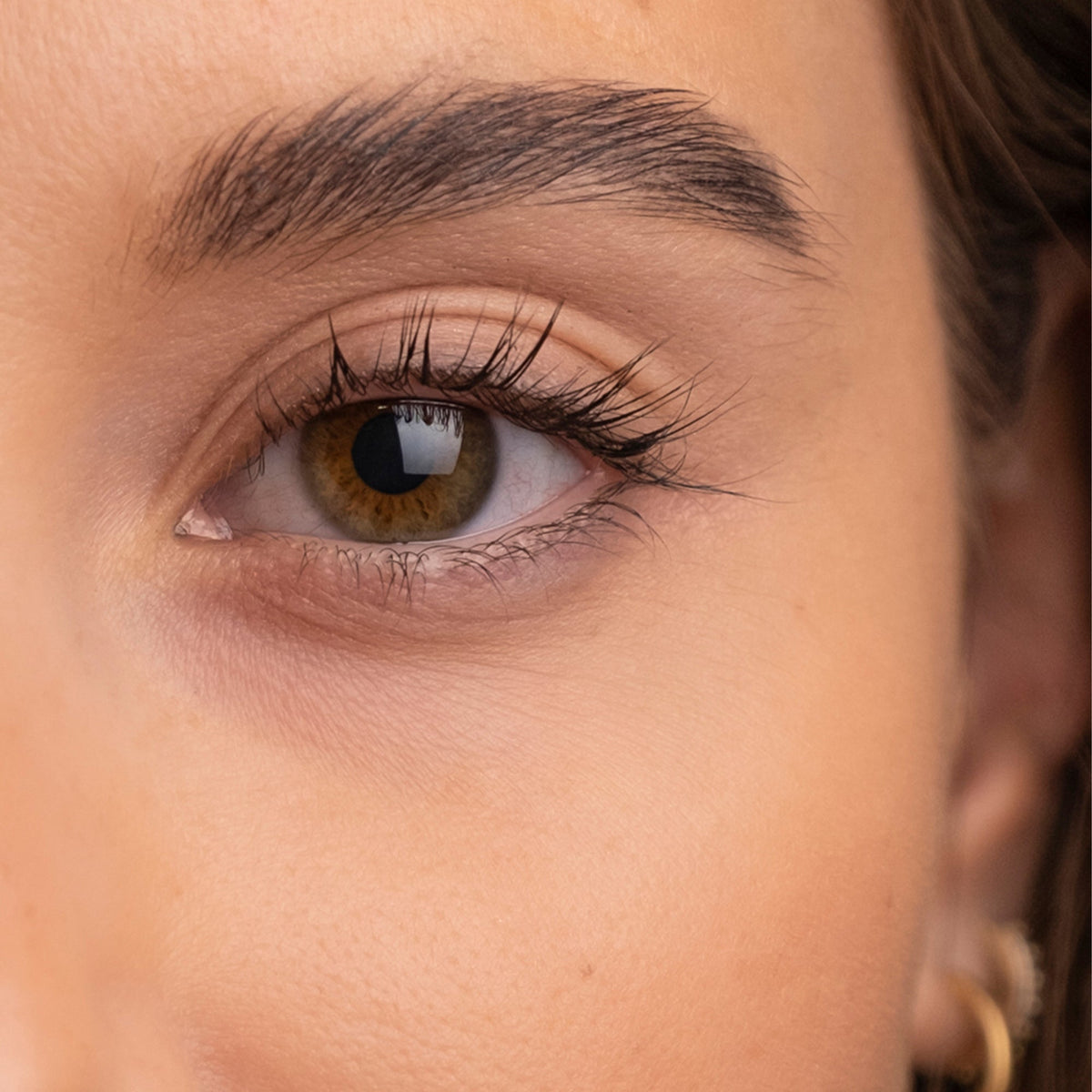 The Brow Serum