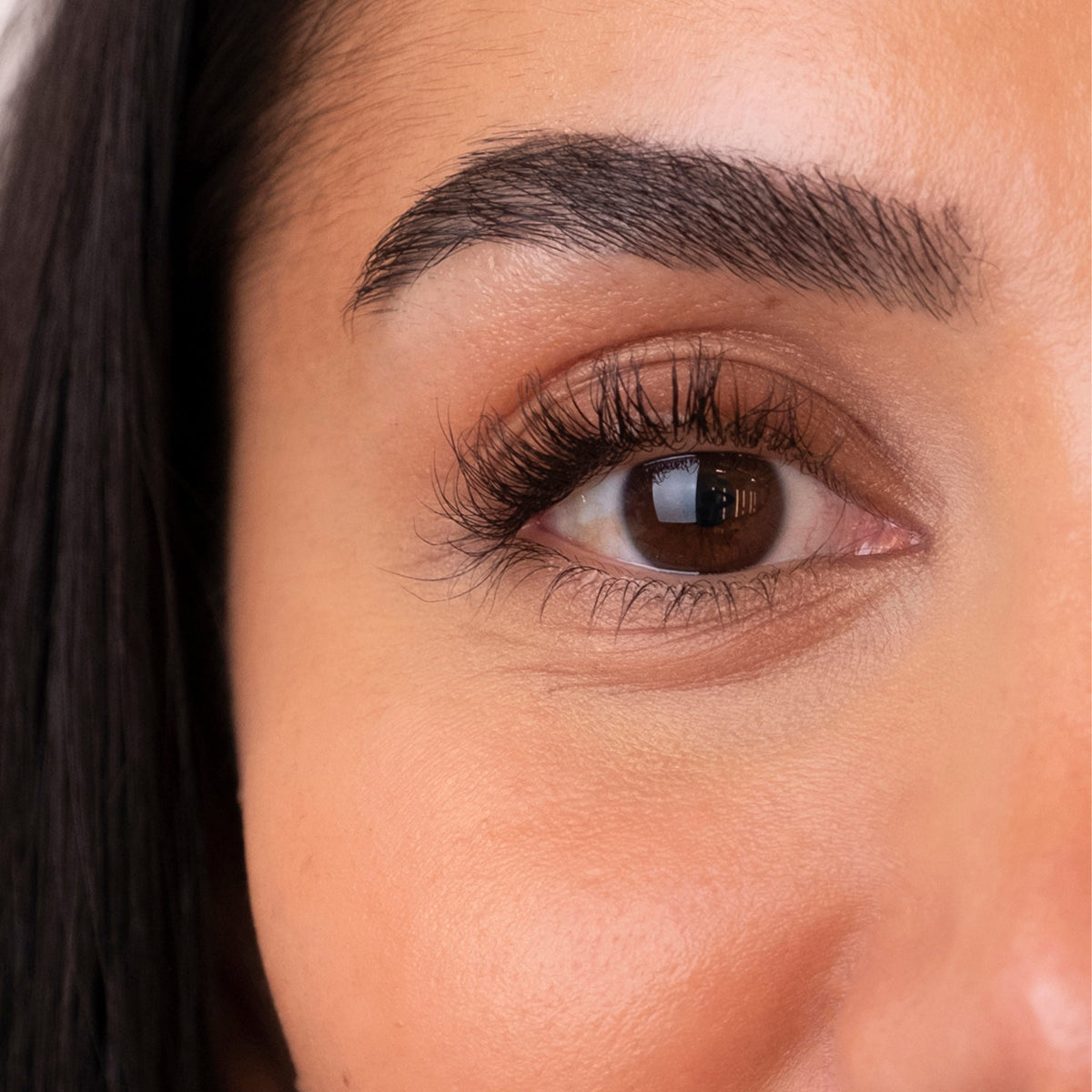 The Brow Serum