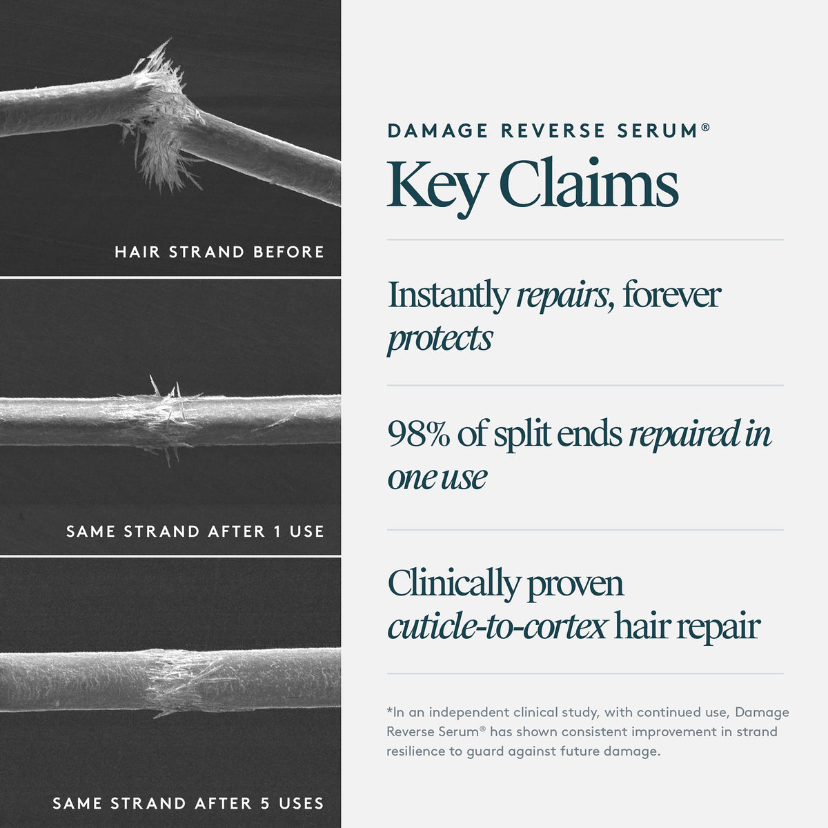 Travel Damage Reverse Serum