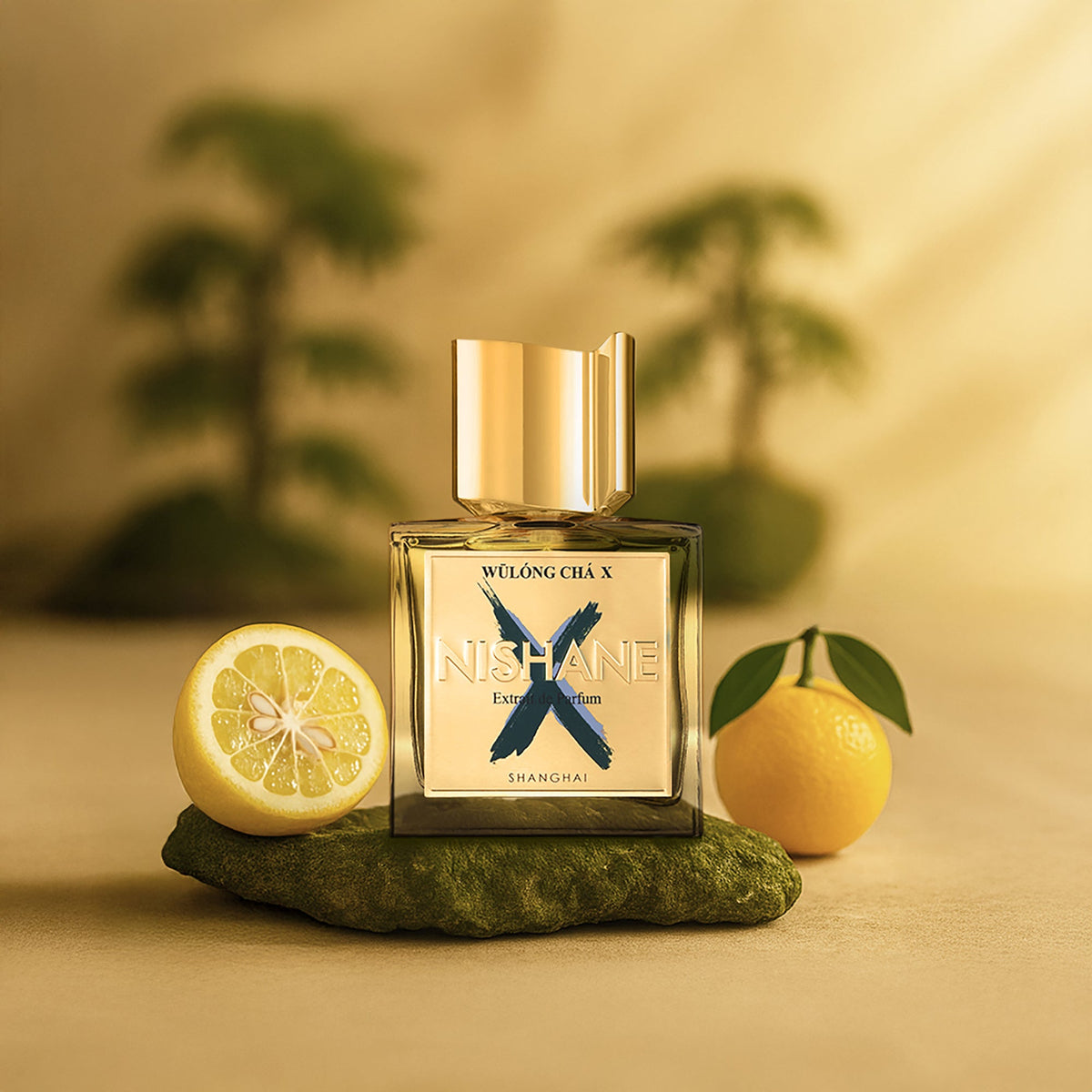 Wulong Cha X Extrait de Parfum