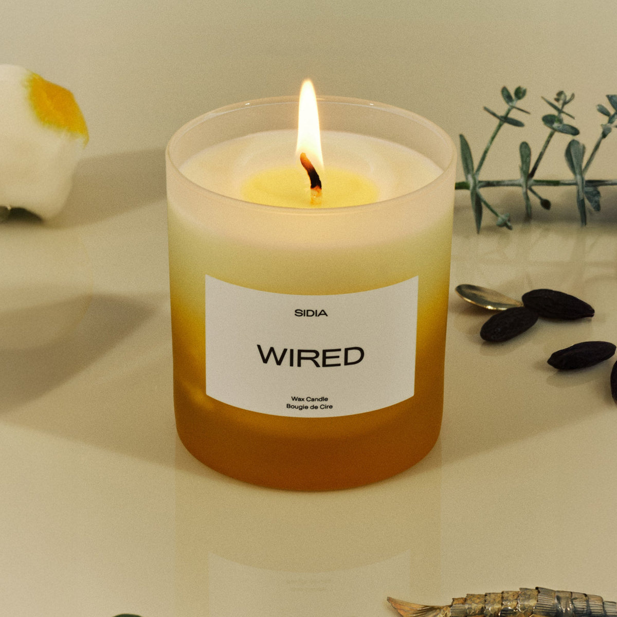 Candle - Wired