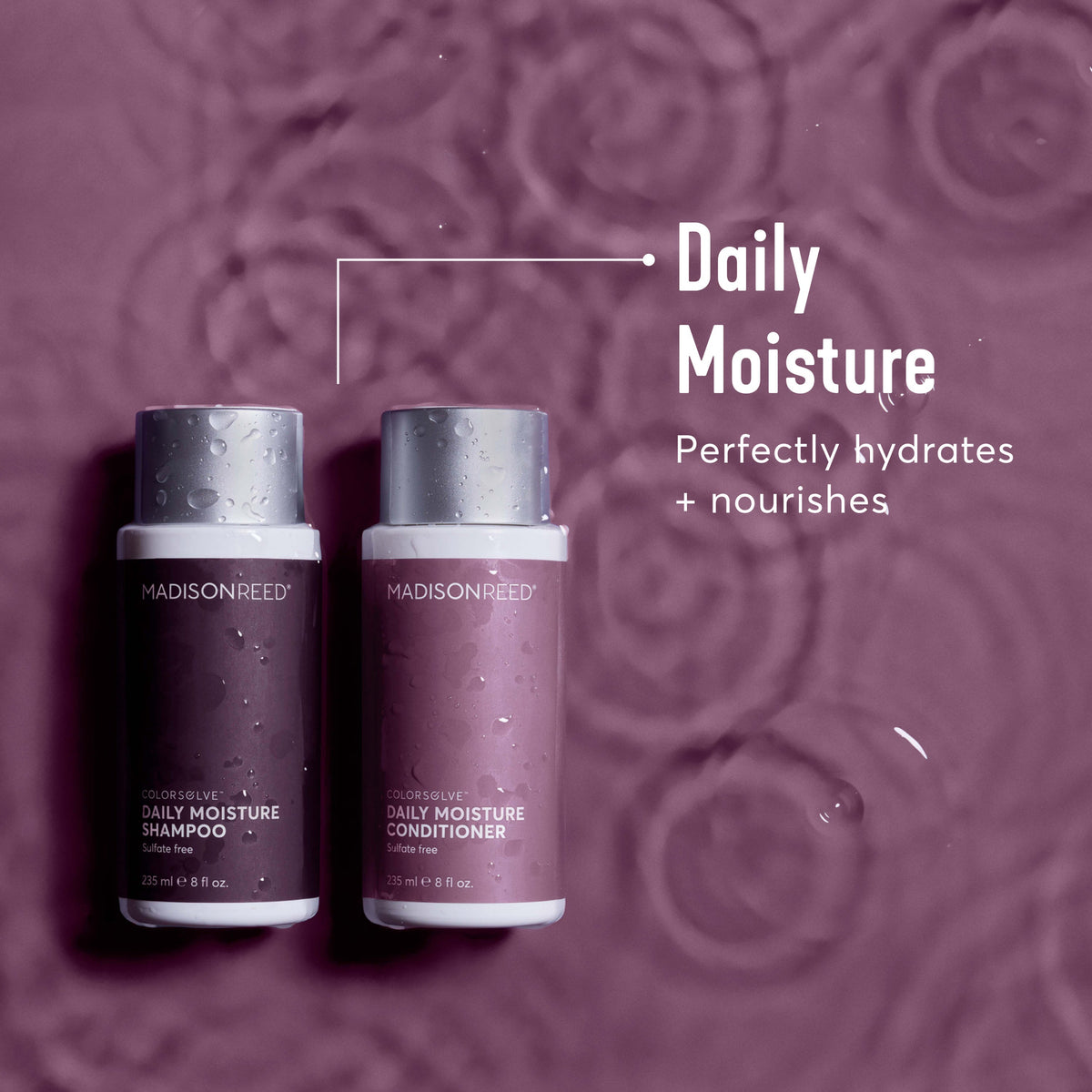 ColorSolve - Daily Moisture - Conditioner
