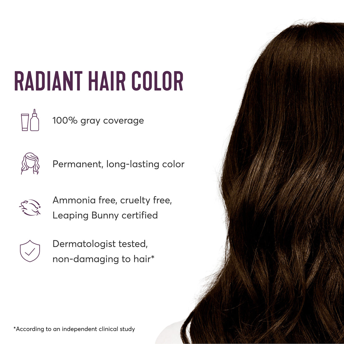 Radiant Hair Color Kit