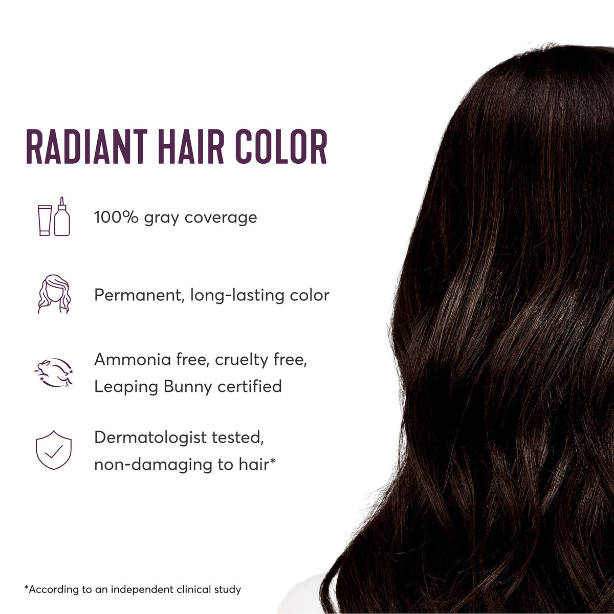 Radiant Hair Color Kit