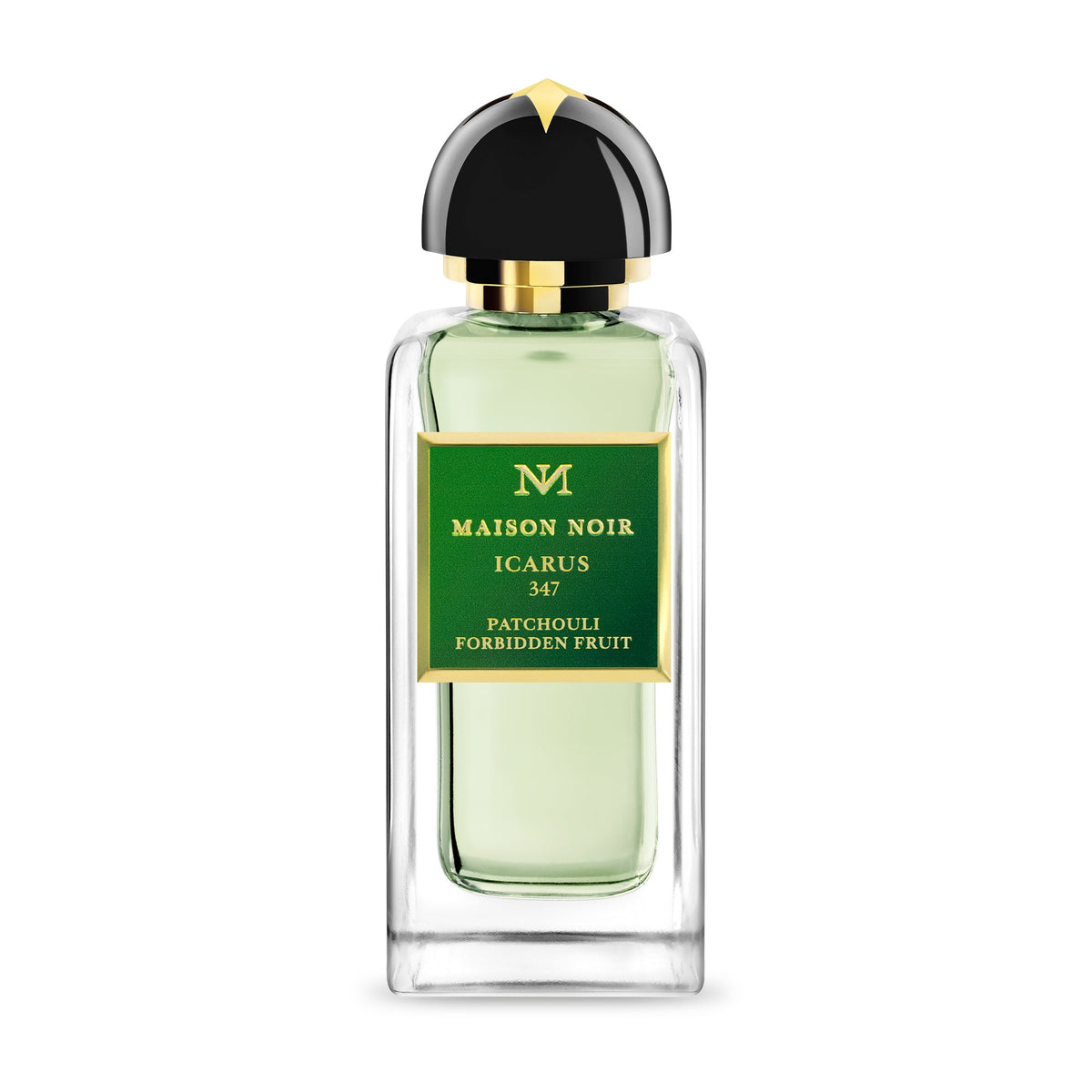 Icarus 347 EDP